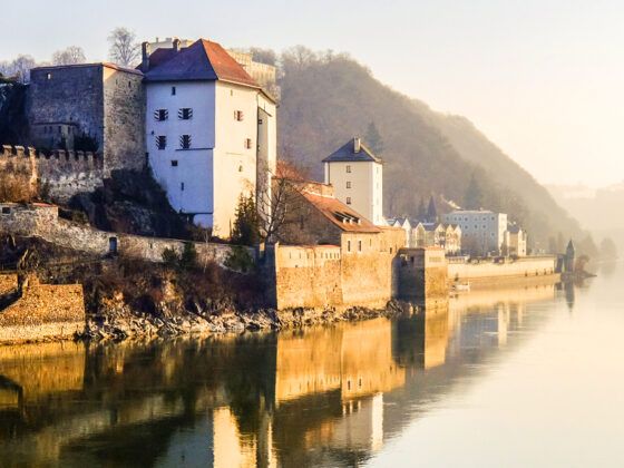 El legendario Danubio