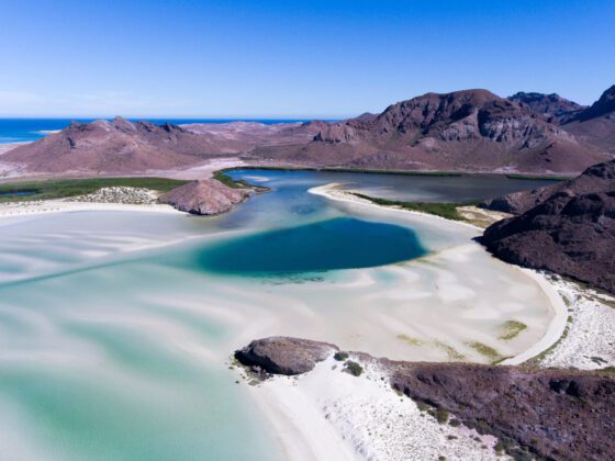 10 cosas que debes hacer en la Baja Sur