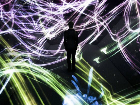 Mori Building Digital Art Museum: la revolución del arte digital