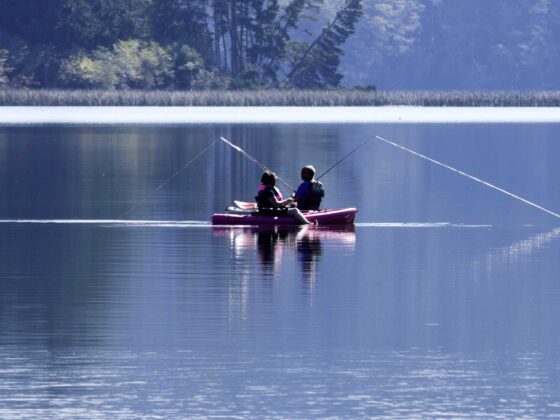 Cinco objetos que no te pueden faltar si eres amante de la pesca