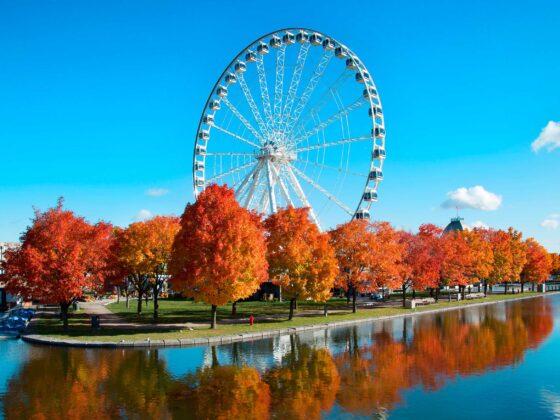 Montreal y Laurentides, la escapada perfecta de invierno