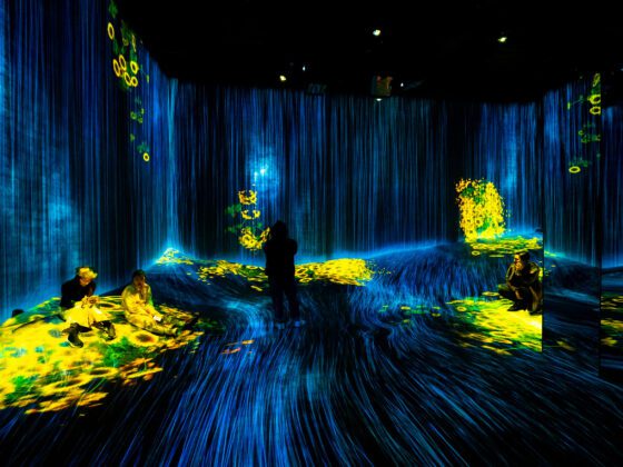 TeamLab abrirá una nueva colección permanente en Europa