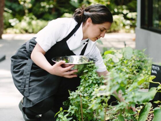 Los mejores restaurantes de México en 2020