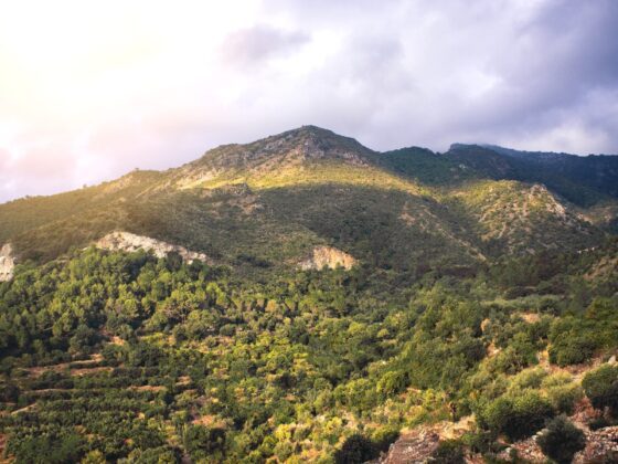 Este será el próximo parque nacional de España