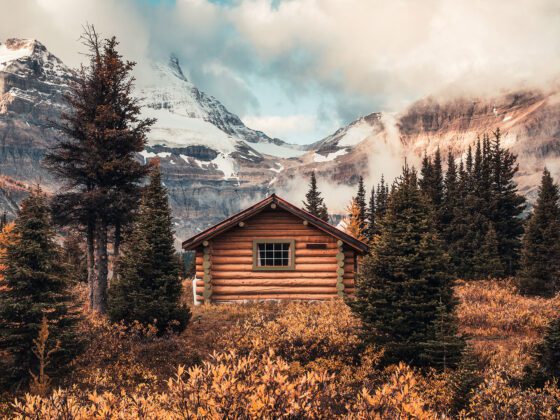 ¿Qué son los viajes cápsula?