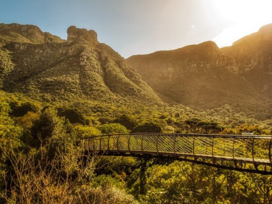 Jardín Botánico Nacional de Kirstenbosch, Sudáfrica